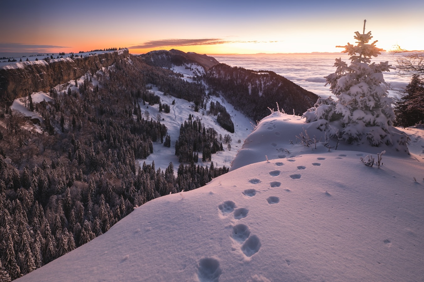 Winter dream

Früh morgens durch die frisch verschneite Natur zu gehen ist immer wieder ein Traum. Anscheinend war ich der Erste und musste deshalb vorspuren 🙈 Zum Glück hatte ich mir letztes Jahr neue Schneeschuhe gegönnt 😬
Meistens verweile ich hier auf der hinteren Krete um ähnliche Stimmungen, wie in Lapland einzufangen. 

Diesmal entschied ich mich wieder mal für den bekannten Spot. Verrenkte mich so, dass ich die Tanne mit ihm Bild hatte ohne dabei die Spuren im Schnee zu zerstören und ich nicht ins Tobel stürzte.

Camera: Panasonic Lumix DC-S5m2
Lens:  Sigma 14-24mm f/2.8 DG DN Art 019

#fabianhüsser 
#lumix
#shotonlumix 
#lumixwinter 

#splendid_earth 
#splendid_nature 
#splendid_trees 
#splendid_woodlands 
#tree_magic 
#tree_brilliance 
#winterwonderland 
#winterdream 
#landscapephotography 
#landscapelovers 
#sigma_deutschland 
#printolino 
#fotomedia 

@tree_brilliance 
@tree_magic 
@splendid_trees